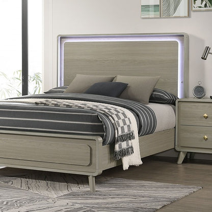 Rainier Contemporary LED on Headboard Bed