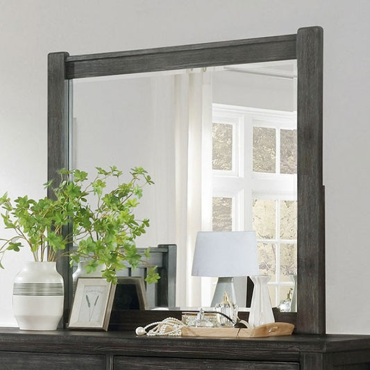 Regenburg Rustic Solid Wood Dark Gray Mirror