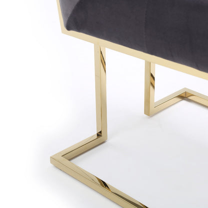 Legend Grey Fabric and Gold Dining Chair Set of 2