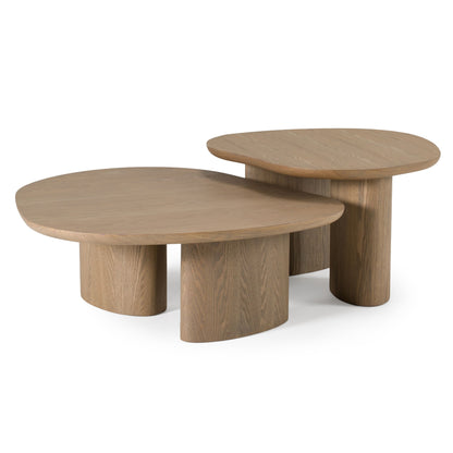 Modrest Raywood Medium Ash Coffee Table – Modern Wood Finish Design