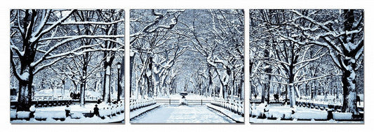 Modrest Winter Trees 3-Panel Photo