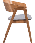 Alden Dining Arm Chair Walnut & Dark Gray (set of 2)