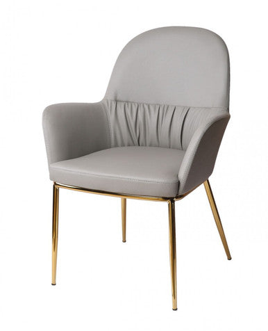Modrest Blanton - Modern Grey Leatherette & Gold Accent Chair