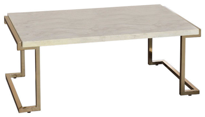 ACME Boice II Coffee Table in Faux Marble & Champagne