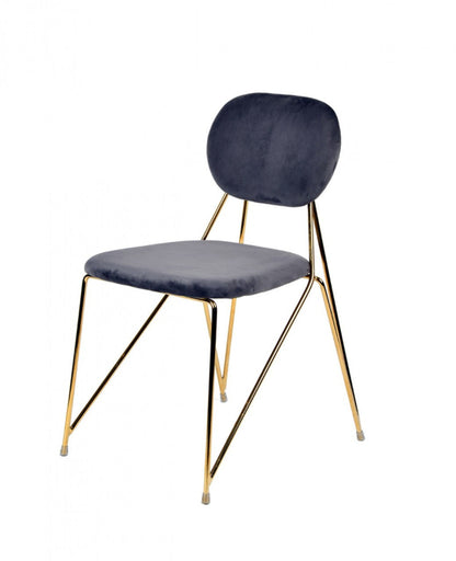 Modrest Carol Modern Grey Fabric Dining Chair (Set of 2)
