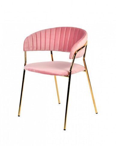Modrest Brandy Modern Pink Fabric Dining Chair (Set of 2)