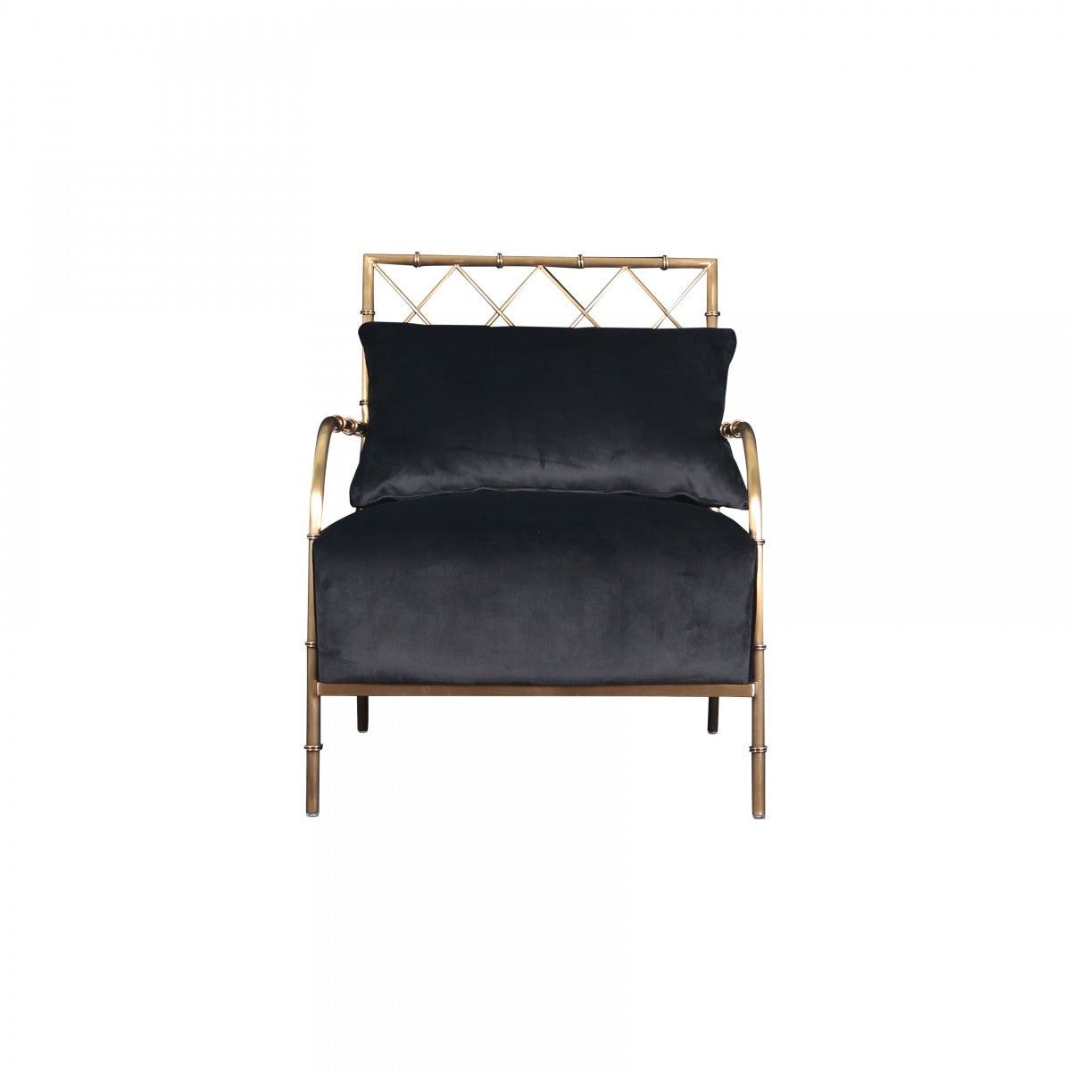 Divani Casa Ignacio - Glam Black Velvet & Gold Accent Chair