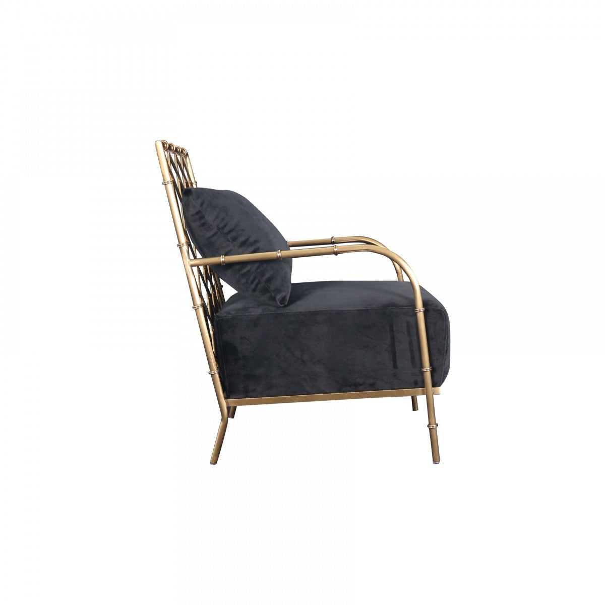 Divani Casa Ignacio - Glam Black Velvet & Gold Accent Chair