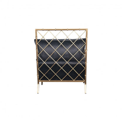 Divani Casa Ignacio - Glam Black Velvet & Gold Accent Chair